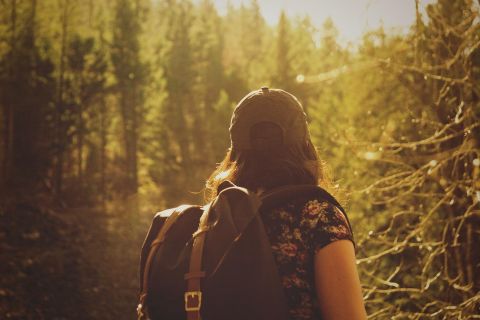 Eine Person mit einem Rucksack steht in einem Wald. Die Sonne scheint durch die Bäume und sorgt für eine warme Atmosphäre.