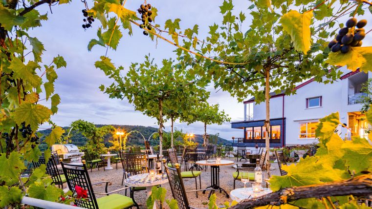La confortable terrasse de roses avec des sièges sous des vignes. En arrière-plan, on voit une charmante maison et un paysage pittoresque.