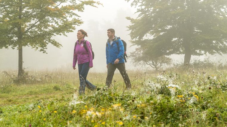 Wandelaars lopen door een mistig, groen landschap. Kleurrijke bloemen en bomen omringen hen.