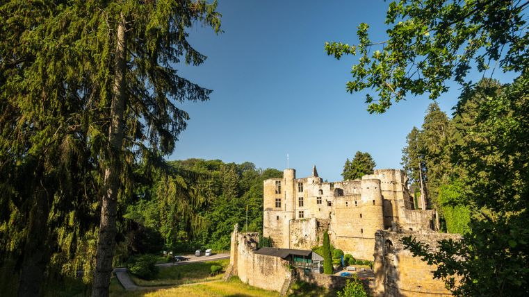 Eine alte Burg umgeben von Bäumen und grünem Gras. Der Himmel ist klar und sonnig.