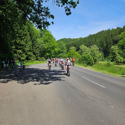Een groep fietsers rijdt op een landelijke weg tussen groene bomen. De zon schijnt en het landschap is levendig en uitnodigend.