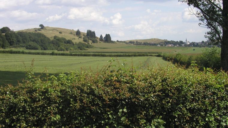Eine grüne Landschaft mit sanften Hügeln und einem blauen Himmel. Im Vordergrund ist eine Hecke zu sehen, die die Sicht auf das Feld und die Hügel dahinter rahmt.
