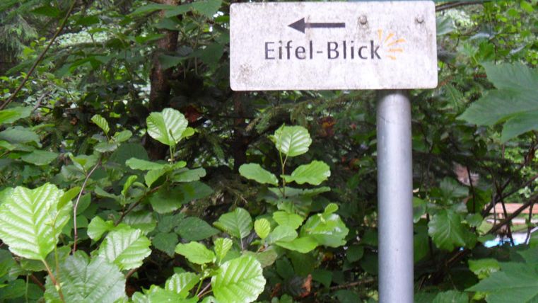 A signpost points towards "Eifel View". Surrounded by green leaves, it conveys a sense of nature.