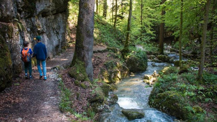 A picturesque hiking trail along a small river in a green forest. Two people enjoy nature surrounded by trees and rocks.