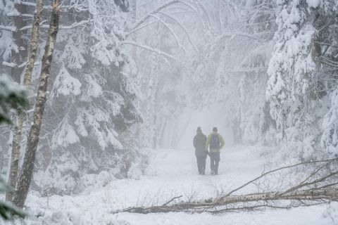 Deux personnes marchent sur un chemin enneigé à travers une forêt brumeuse. Les arbres sont recouverts de neige et la visibilité est restreinte.