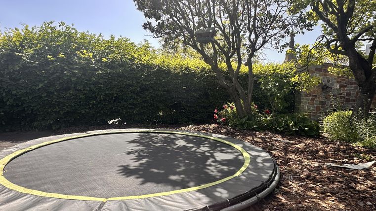 Een trampoline in de tuin, omringd door bomen en struiken. De grond is bedekt met gevallen bladeren.