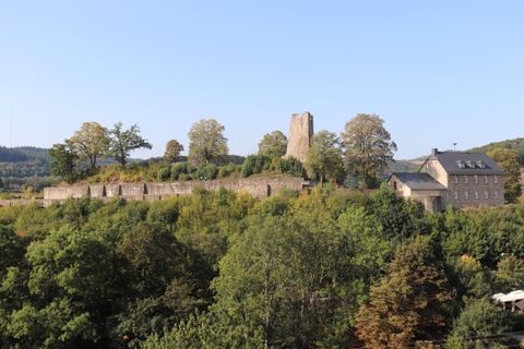 An old castle ruin surrounded by trees and greenery. In the background, a clear sky can be seen.