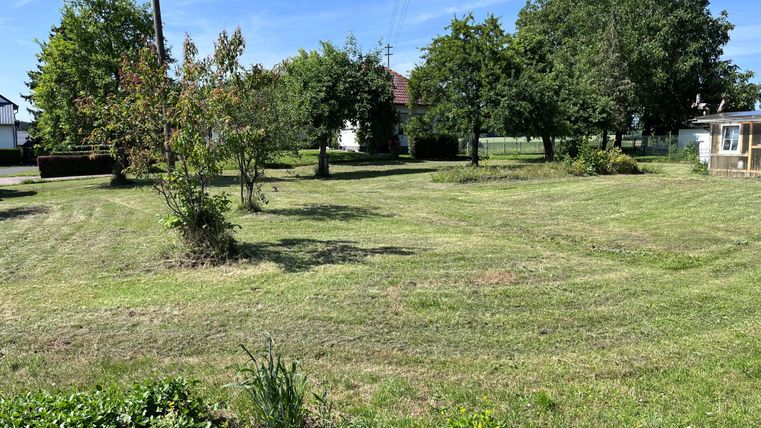 Een strak gemaaid gazon met enkele bomen en struiken. Op de achtergrond staat een gebouw en de lucht is blauw met enkele wolken.