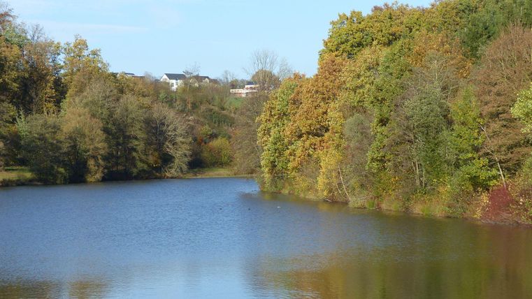 Ein ruhiger See umgeben von buntem Laub. Die Bäume spiegeln sich klar im Wasser.