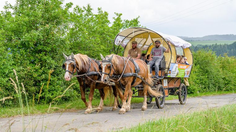 Eine Pferdekutsche mit zwei Zugpferden fährt auf einem Landweg. Im Hintergrund sind Bäume und sanfte Hügel zu sehen.