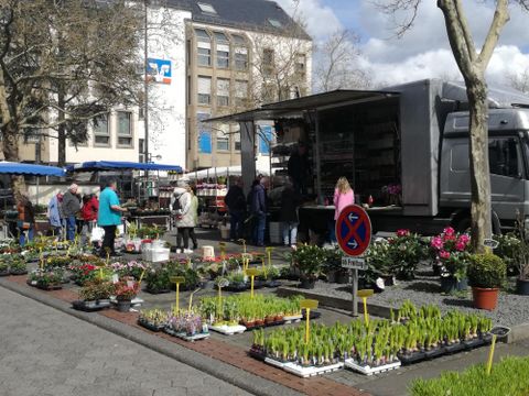 Een kleurrijke bloemenmarkt met veel planten en mensen die aan het winkelen zijn. Op de achtergrond staat een verkoopwagen en de zon schijnt.
