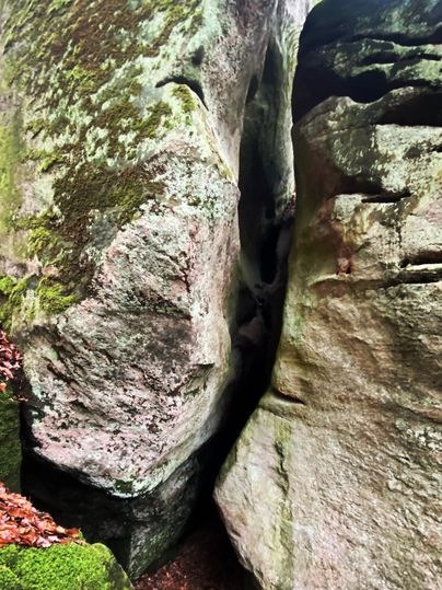 A narrow gap between large, moss-covered rocks in the forest. The surroundings are green and appear natural.