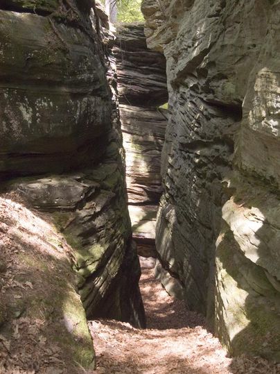 Eine enge Schlucht mit hohen, begrünten Felsen. Der Boden ist mit Laub bedeckt und das Licht fällt sanft zwischen den Wänden der Klamm.