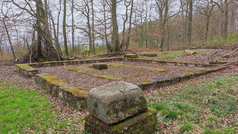 Ruïnes van een oude structuur in het bos, omringd door bomen en bladeren. De stenen zijn bedekt met mos, en de sfeer is rustig.