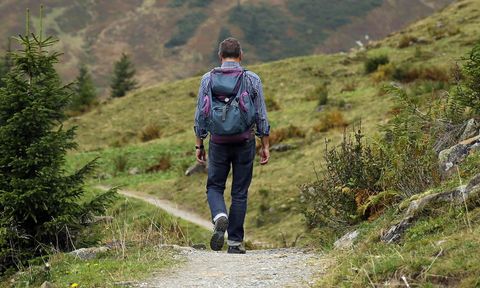 A hiker is walking along a narrow path through a green landscape. In the background, gentle hills and trees can be seen.
