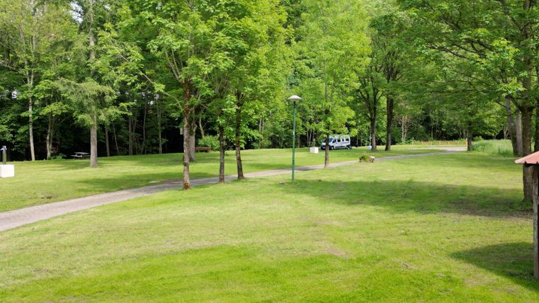 Een groene parklandschap met veel bomen en een geplaveide weg. Op de achtergrond staat een voertuig tussen de bomen.