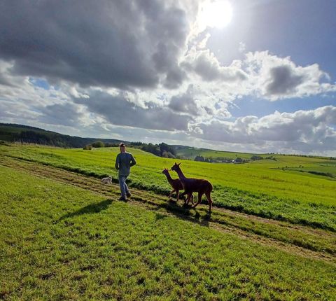 Een man loopt met twee lama's op een groen veld. De lucht is bewolkt, en de zon schijnt door de wolken.