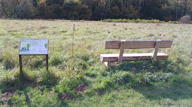 Een houten bankje en een informatiebord op een weiland in het natuurpark Zuid-Eifel.