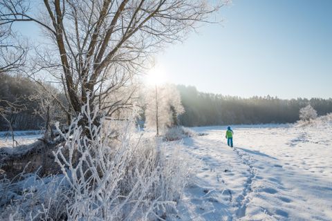 Un paysage enneigé avec des arbres givrés et un ciel clair. Au premier plan, une personne en vêtements chauds marche le long d'un chemin.
