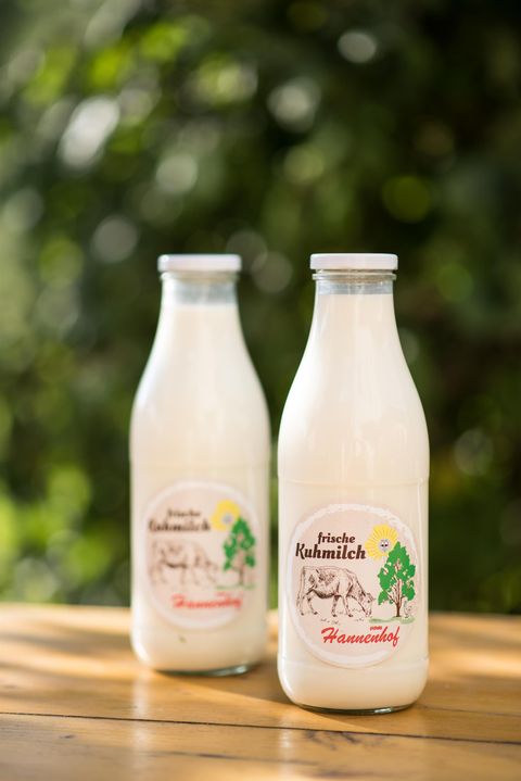Deux bouteilles en verre de lait frais sont posées sur un plateau en bois. En arrière-plan, on peut voir des éléments verts naturels.