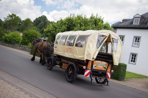 Ein Pferd zieht eine ist eine Kutsche mit einem beigen Dach. Die Kutsche fährt auf einer Straße in einer grünen Umgebung.