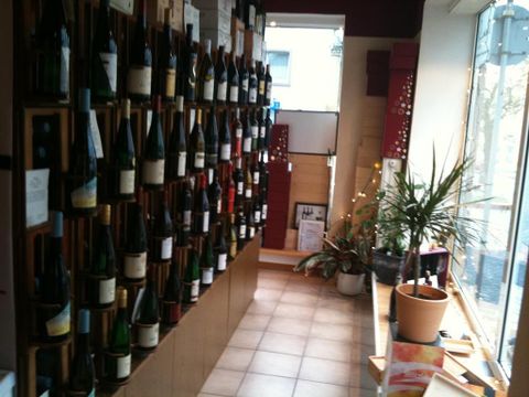 A wine tavern with a wall full of wine bottles. The atmosphere is bright and friendly, with a plant in the corner.