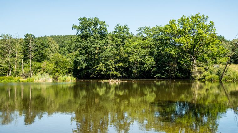 A calm reservoir with trees in the background, reflected in the water, under a clear blue sky.