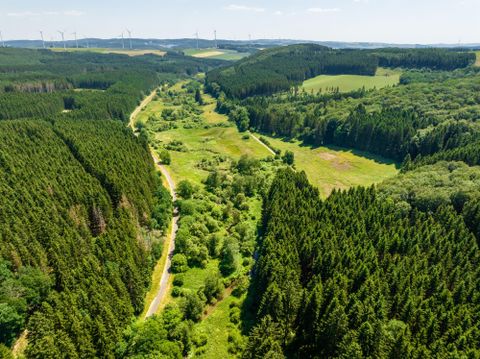Eine malerische Waldlandschaft mit grünen Bäumen und einem klaren Himmel. Im Tal verläuft ein schmales Flusstal, umgeben von saftigem Grün.
