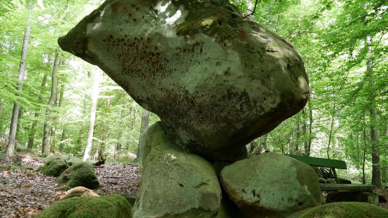 A large, hovering rock stands on smaller stones in the forest. Surrounded by green foliage and trees, the scene conveys a tranquil impression of nature.