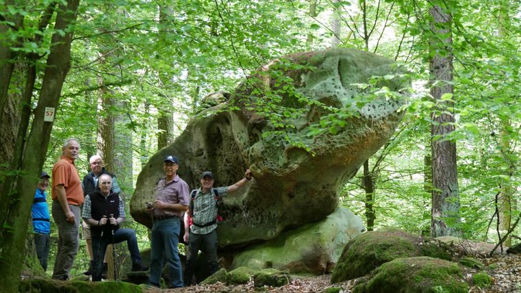 Group of hikers stands around a large rock in the forest. The surroundings are green and wooded, with many trees.