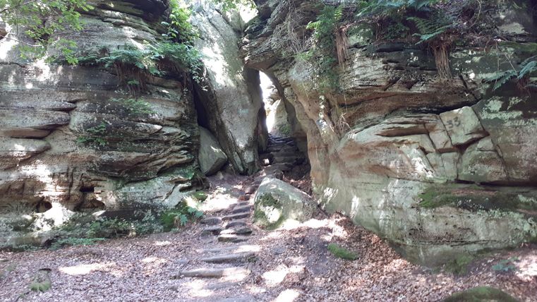 Un sentier étroit entre de hautes roches dans la forêt. La lumière tombe doucement sur le sol et diffuse une atmosphère paisible.