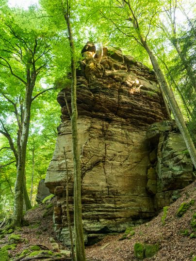 Een grote rots omringd door dichte groene bomen. Het licht valt zachtjes door de bladeren en verlicht de scène.