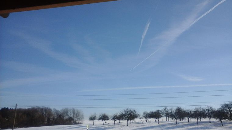 A clear blue sky over a snowy landscape. In the background, several trees can be seen.