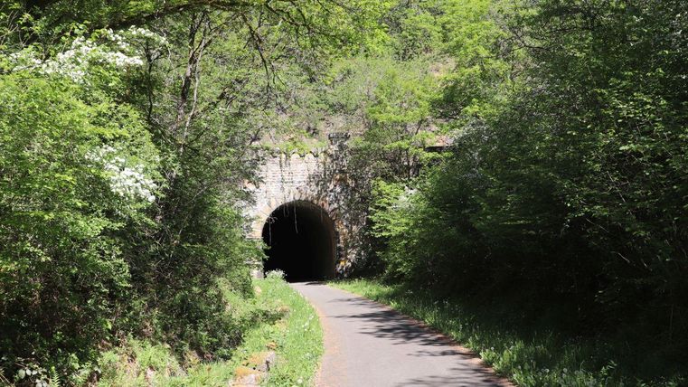 Een tunnel omgeven door groene bomen. De weg leidt zachtjes naar de tunnel toe.