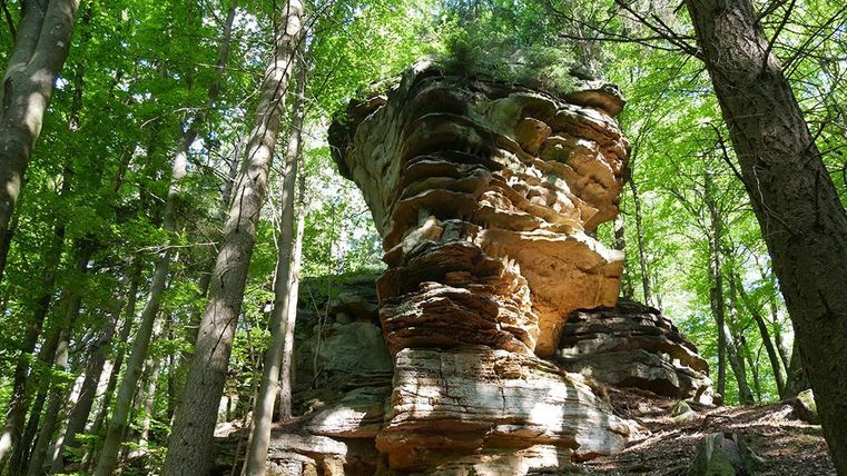 Ein beeindruckender Felsen in einem dichten Wald, umgeben von hohen Bäumen. Das Sonnenlicht fällt durch das Blätterdach und beleuchtet die Strukturen des Steins.
