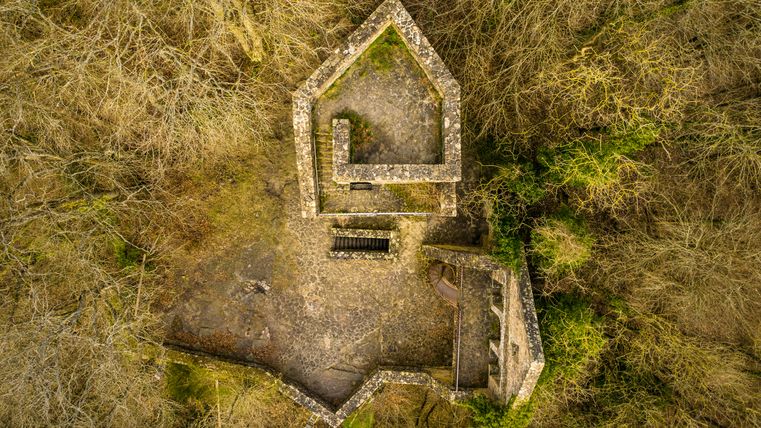 Luftaufnahme einer Burgruine umgeben von Bäumen.
