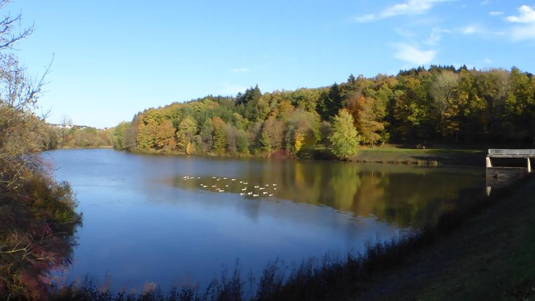 Ein ruhiger See umgeben von buntem Herbstwald. Der Himmel ist klar und blau, ideal für einen entspannten Tag in der Natur.