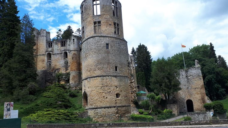 Un vieux château avec des tours et des murs fanés, entouré d'arbres. Le ciel est nuageux et il y a quelques espaces verts au premier plan.