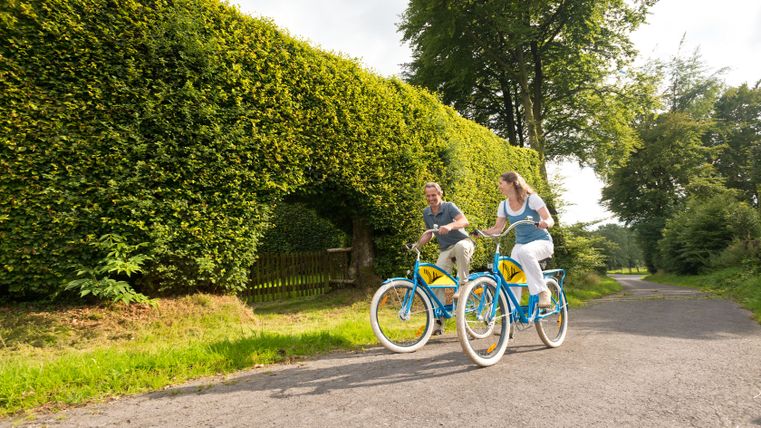 Zwei Personen fahren auf blauen Fahrrädern entlang einer hohen Buchenhecke bei Monschau-Kalterherberg.