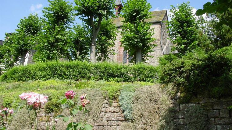 A garden with blooming roses and well-kept hedges. In the background, a house with tree trunks the size of arms can be seen.