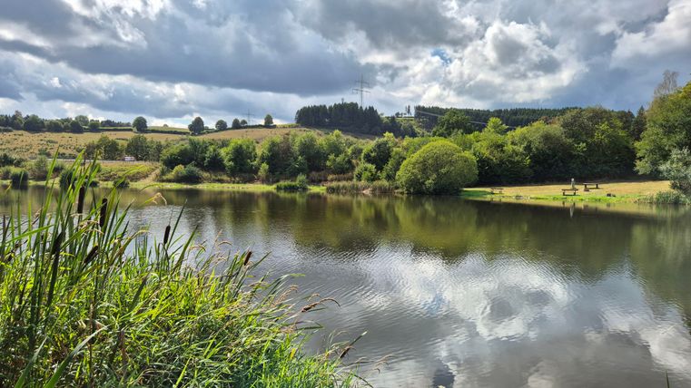 Stausee Blick durchs Schilff