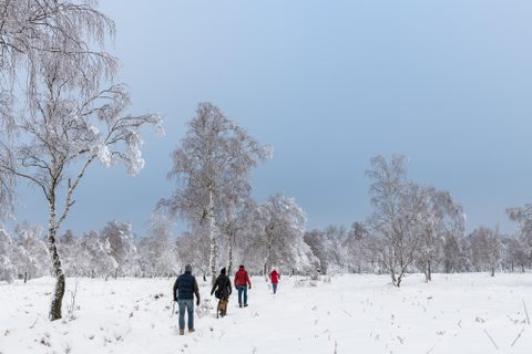 Een groep mensen loopt door een besneeuwd winterlandschap. De bomen zijn bedekt met sneeuw en de lucht is grijs-blauw.
