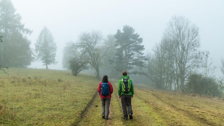 Two hikers are walking on a narrow path through a misty landscape. Surrounded by trees and grassy fields, the atmosphere is calm and mysterious.