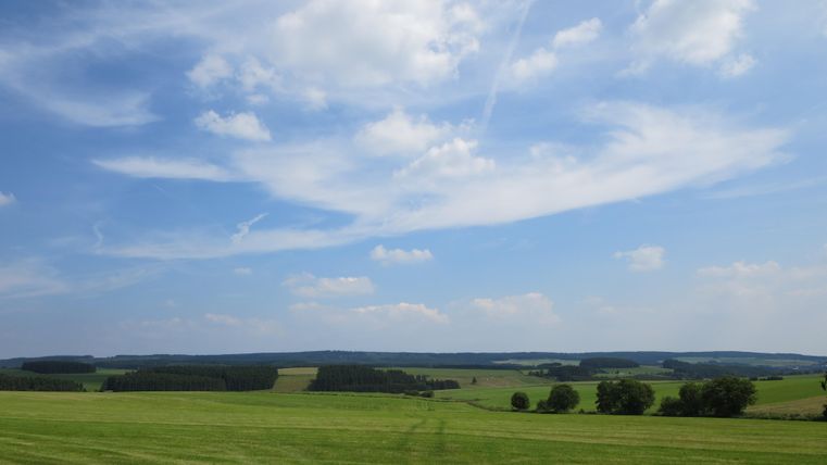 Eine weite Wiesenlandschaft unter einem blauen Himmel mit wenigen Wolken. Im Hintergrund sind sanfte Hügel und Bäume zu sehen.
