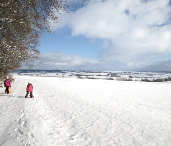 Vier seizoenen lopen Niederweiler, &copy; Tourist-Information Bitburger Land_Doris Welter