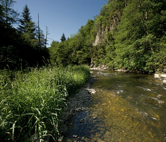 L'Our sur l'itinéraire Nat'Our 1 - Région des trois frontières, © Naturpark Südeifel, R. Clement