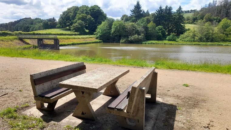 Ein ruhiger Platz mit einer Holztisch-Bank-Kombination am Wasser. Im Hintergrund sind grüne Wiesen und Wälder zu sehen.