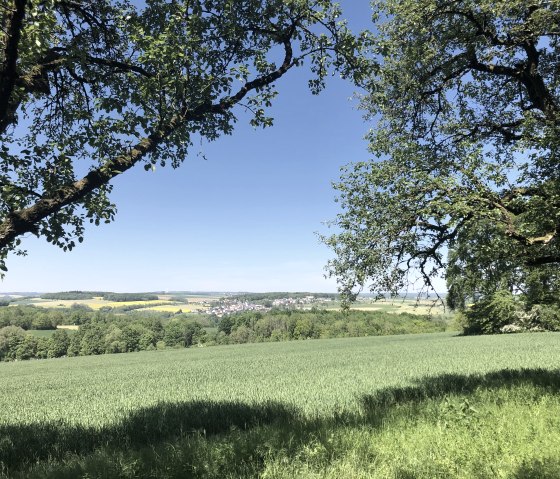 Bitburger Feld und Flur-Tour, &copy; Tourist-Information Bitburger Land