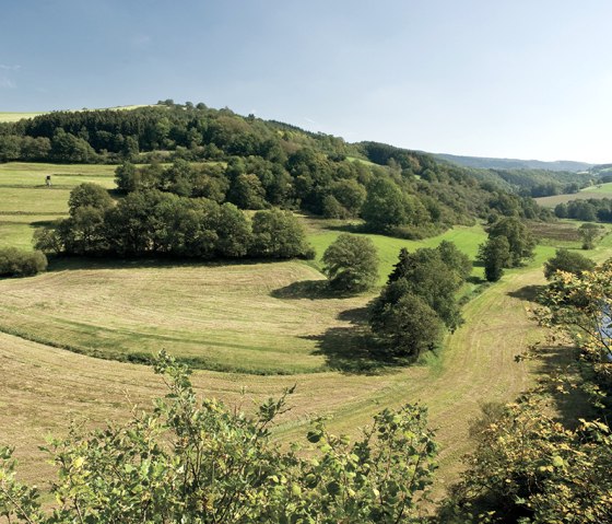 Sentier du dévonien, paysage de l'Eifel, © Naturpark Südeifel, Pierre Haas