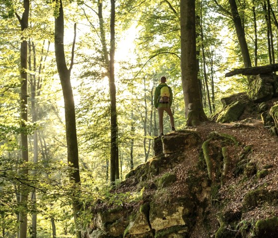 Een wandelaar staat op een rots in het bos, omringd door bomen en zonlicht dat door het bladerdak schijnt., &copy; Eifel Tourismus GmbH, Dominik Ketz